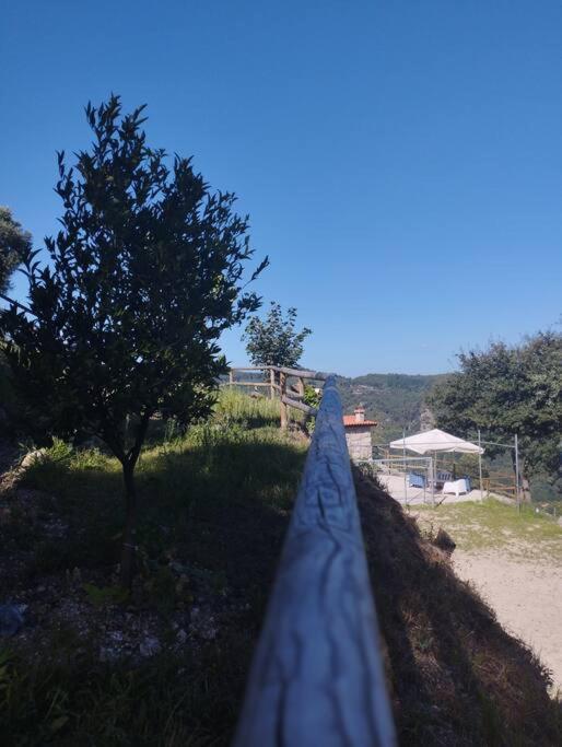 Hébergement de vacances A Casa Da Japoneira Cb Rebordoes (Braga)