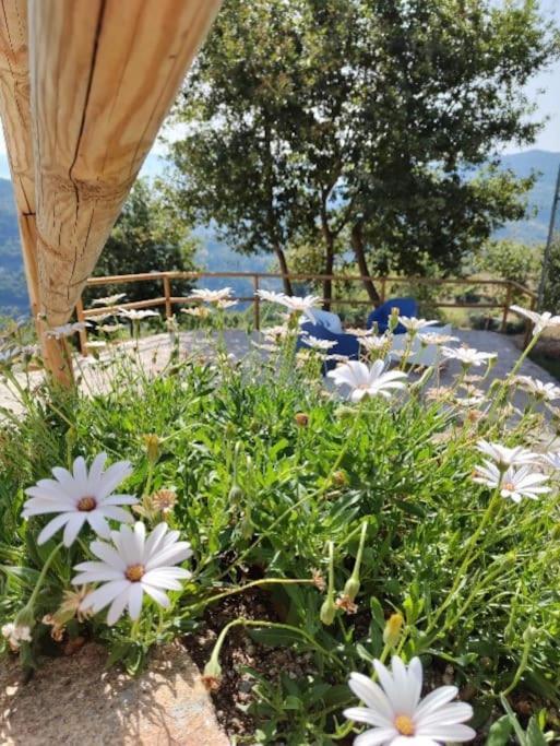 A Casa Da Japoneira Cb Hébergement de vacances