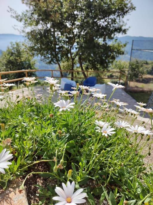 A Casa Da Japoneira Cb Hébergement de vacances *