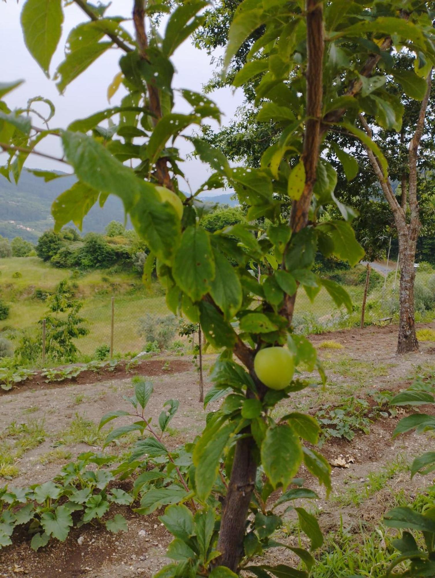 A Casa Da Japoneira Cb Hébergement de vacances *
