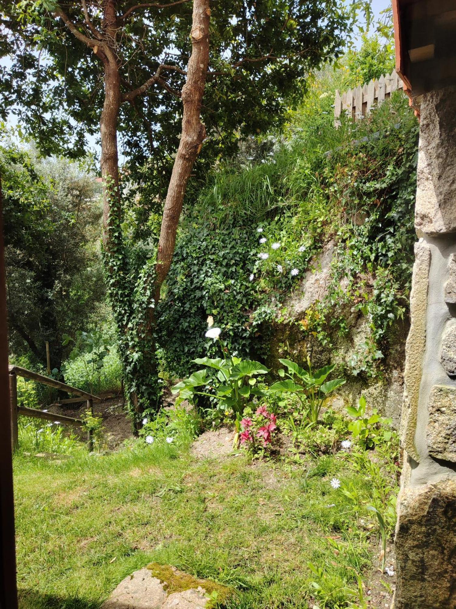 Hébergement de vacances A Casa Da Japoneira Cb *